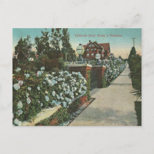 Vintager kalifornischer Winter Postkarte