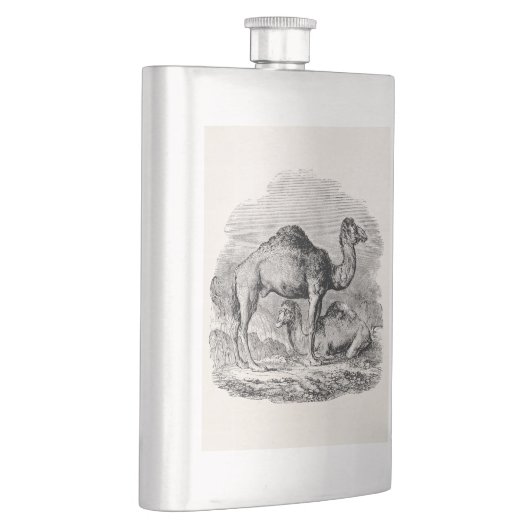 Vintager Kameldromedary-personalisierte Flachmann (Rechts)