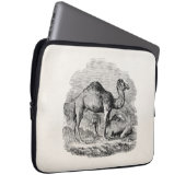 Vintager Kameldromedary-personalisierte Laptopschutzhülle (Vorne Rechts)