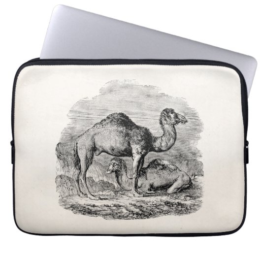 Vintager Kameldromedary-personalisierte Laptopschutzhülle (Vorderseite)