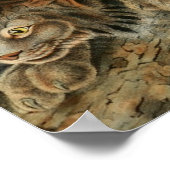 Vintager kanadischer Lynx Illustration Poster (Ecke)