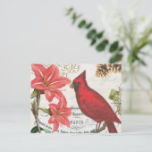 Vintager Kardinal Postkarte (Stehend Vorderseite)