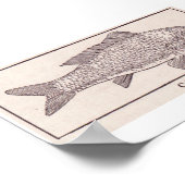 Vintager Karpfen Poster (Ecke)