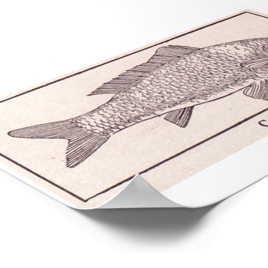 Vintager Karpfen Poster (Ecke)