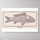 Vintager Karpfen Poster (Vorne)