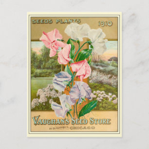 Vintager Katalog der Blume Chicago Garening Postkarte