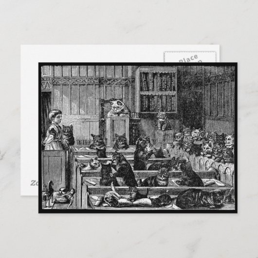 Vintager Katzenunterricht Postkarte (Vorne/Hinten)