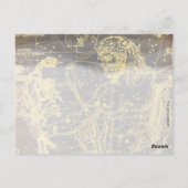 Vintager Kellner Postkarte (Rückseite)