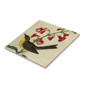 Vintager Kirtlands Trällerer-Vogel Fliese (Seite)