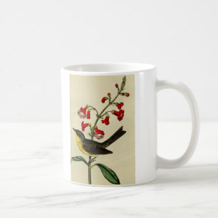 Vintager Kirtlands Trällerer-Vogel Kaffeetasse