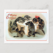 Vintager Kitten Spaß Postkarte (Vorderseite)