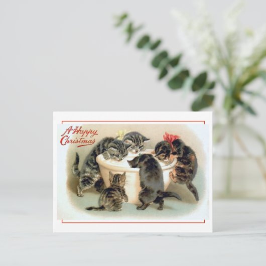 Vintager Kitten Spaß Postkarte (Stehend Vorderseite)