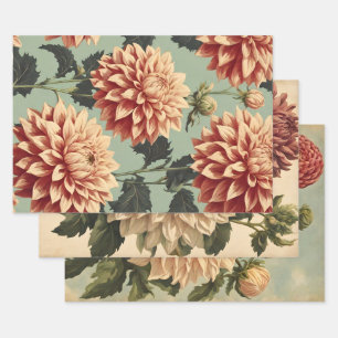 Vintager klassischer rosa weißer Dahlias botanisch Geschenkpapier Set