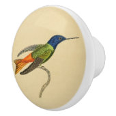 Vintager Kolibri-Fach-Griff 1830 Keramikknauf (Rechts)