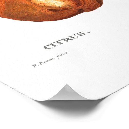 VINTAGER KÖRPERPUNKT POSTER (Ecke)