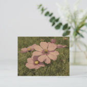 Vintager Kosmos-Blume in verblasstem Rosa Postkarte (Stehend Vorderseite)