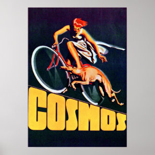 Vintager Kosmos Fahrradposter Poster