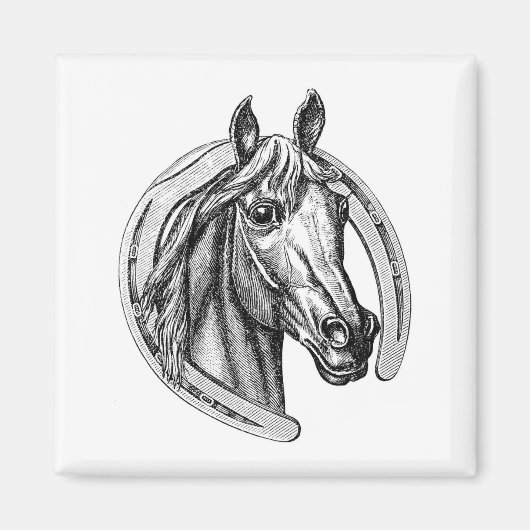 Vintager Kühlschrankmagnet Horse & Horseshoe (Vorne)
