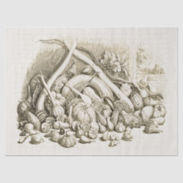 Vintager Kürbisquash Beige Seidenpapier