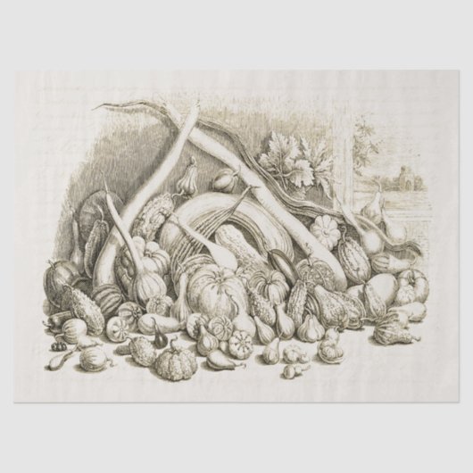 Vintager Kürbisquash Beige Seidenpapier (Vorderseite)