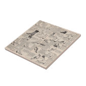 Vintager Ladys' Shoes Katalog - Mode der 1900er Ja Fliese (Seite)