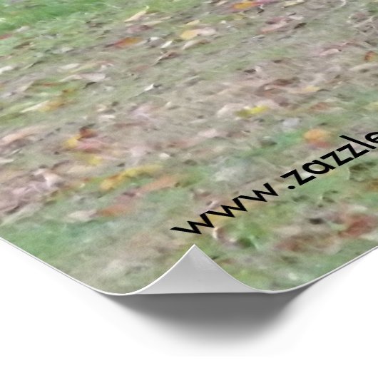 Vintager Lastkraftwagen 3 Poster (Ecke)