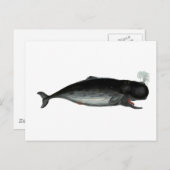 Vintager Laughing Whale Postkarte (Vorne/Hinten)
