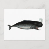 Vintager Laughing Whale Postkarte (Vorderseite)