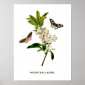 Vintager Laurel Botanical Poster (Vorne)