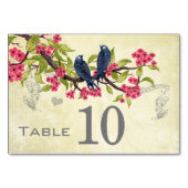 Vintager Liebesvogel Rosa Aquamarin Blau Grün Tischnummer (Vorderseite)