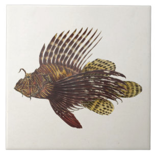 Vintager Lionfishscorpionfish-Retro Löwe-Fische Fliese