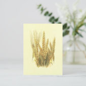 Vintager Lithographie aus Gerste, Weizen und Rogge Postkarte (Stehend Vorderseite)