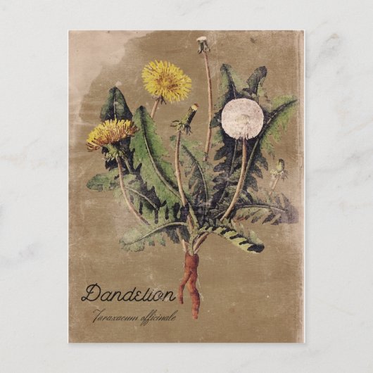 Vintager Lüster mit Blumenpostkarte Postkarte (Vorderseite)
