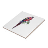 Vintager Makaw Bird Fliese (Seite)