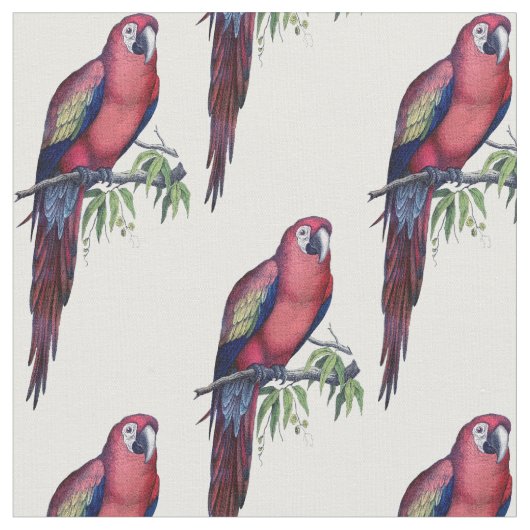Vintager Makaw Bird Stoff (Nahaufnahme)