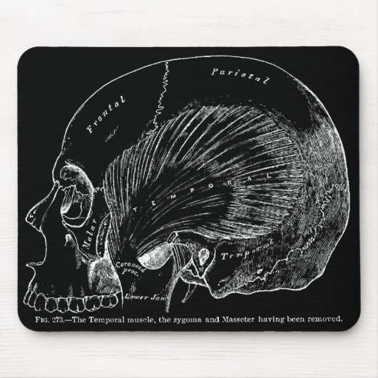 Vintager medizinischer zeichnender menschlicher mousepad (Vorne)