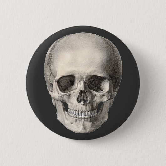 Vintager menschlicher Anatomie Schädel, Halloween- Button (Vorderseite)