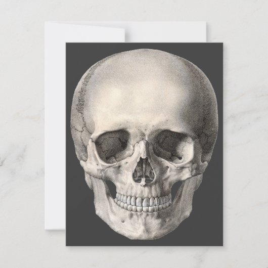 Vintager menschlicher Anatomie Schädel, Halloween- Karte (Vorderseite)