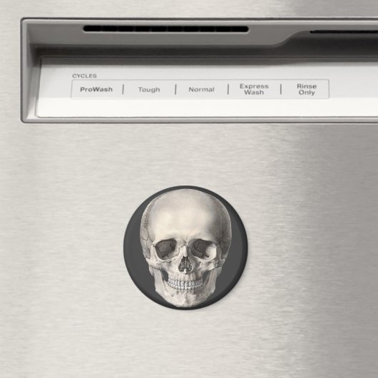 Vintager menschlicher Anatomie Schädel, Halloween- Magnet (In Situ (Geschirrspüler))