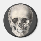 Vintager menschlicher Anatomie Schädel, Halloween- Magnet (Vorne)