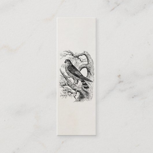 Vintager MERLIN-Falke-Vogel - Mini Visitenkarte (Vorderseite)