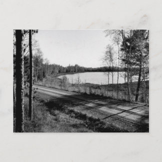 Vintager Mink Lake Ottawa Nationalwald, Michigan Postkarte
