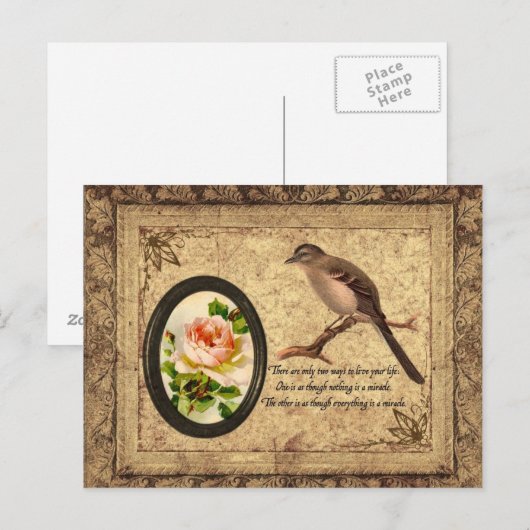 Vintager Mockingvogel Postkarte (Vorne/Hinten)