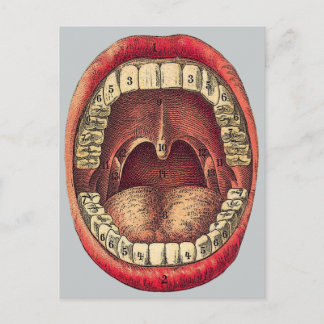 Vintager Mund Postkarte