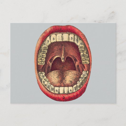 Vintager Mund Postkarte (Vorderseite)