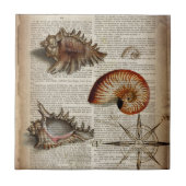 Vintager Muschelbotandruck Fliese (Vorderseite)