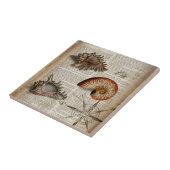 Vintager Muschelbotandruck Fliese (Seite)