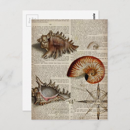 Vintager Muschelbotandruck Postkarte (Vorne/Hinten)