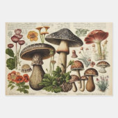 Vintager Mushroom-Cocktail Geschenkpapier Set (Vorderseite 2)