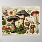 Vintager Mushroom-Cocktail Poster (Vorne)
